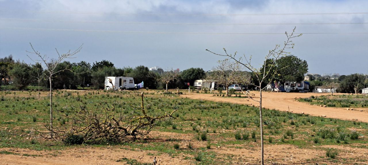 El Ayuntamiento de Palma investigará si el camping situado en suelo rústico en Es Pil·larí y donde, según ha podido comprobar mallorcadiario.com, permanecen estacionadas unas 60 autorcaravanas y furgonetas camper, cuenta con licencia. De no ser así, se tomarán medidas legales. En el pasado, se han clausurado campings ilegales en Mallorca y algunos municipios están considerando habilitar espacios para el estacionamiento de caravanas, dotándolos de servicios de carga de agua potable y descarga de aguas negras.