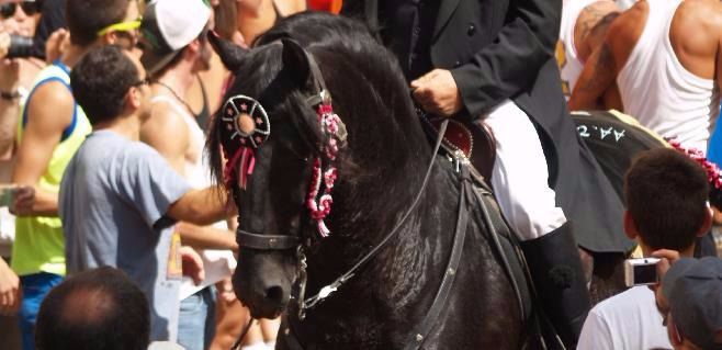 El Consell abre un debate para declarar las fiestas patronales como bien de interés cultural