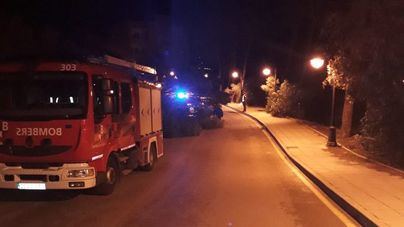 56 incidentes en Baleares por el temporal, la mayoría por caídas de árboles y desprendimientos
 