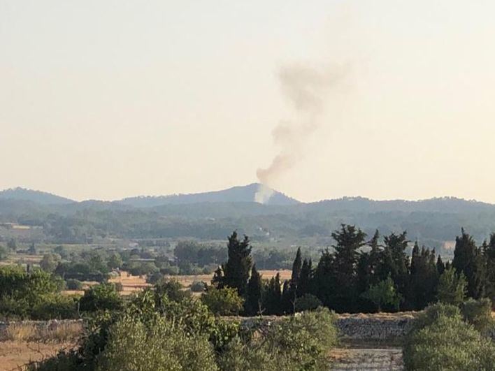 Controlado un incendio forestal en Algaida que ha quemado 0,1 hectáreas de pinar