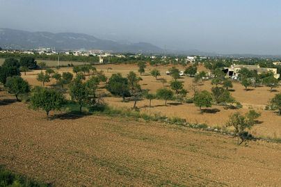 El Congreso avala la contratación en el campo de migrantes y parados