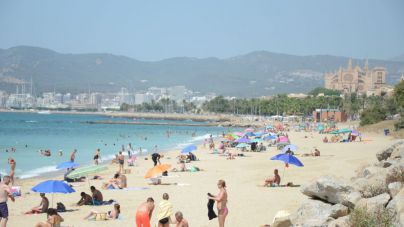 Palma se promocionará como destino seguro todo el año, no sólo en temporada baja