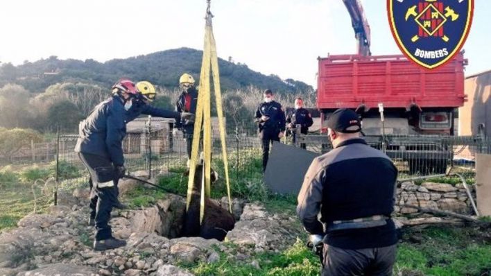 Salvan a un burro que había caído a un pozo en Son Servera