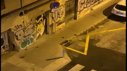 Cort abre expediente a los dueños del edificio plagado de ratas en Costa i Llobera