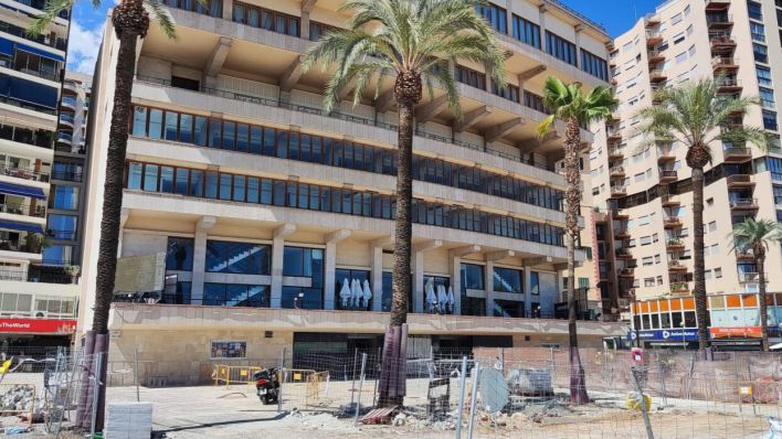 Talan 52 árboles del Paseo Marítimo por riesgo de caída
