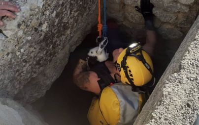 Rescatan a un pato que llevaba seis días en un pozo a 17 metros de profundidad