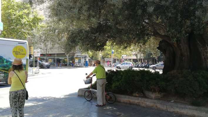 Buscando la sombra siempre