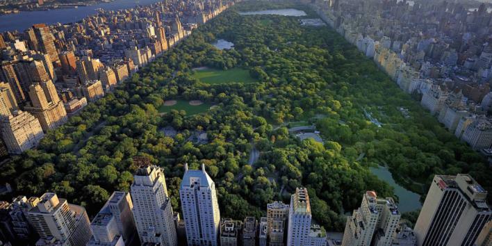 Nueva York se prepara para crear fosas comunes en parques públicos