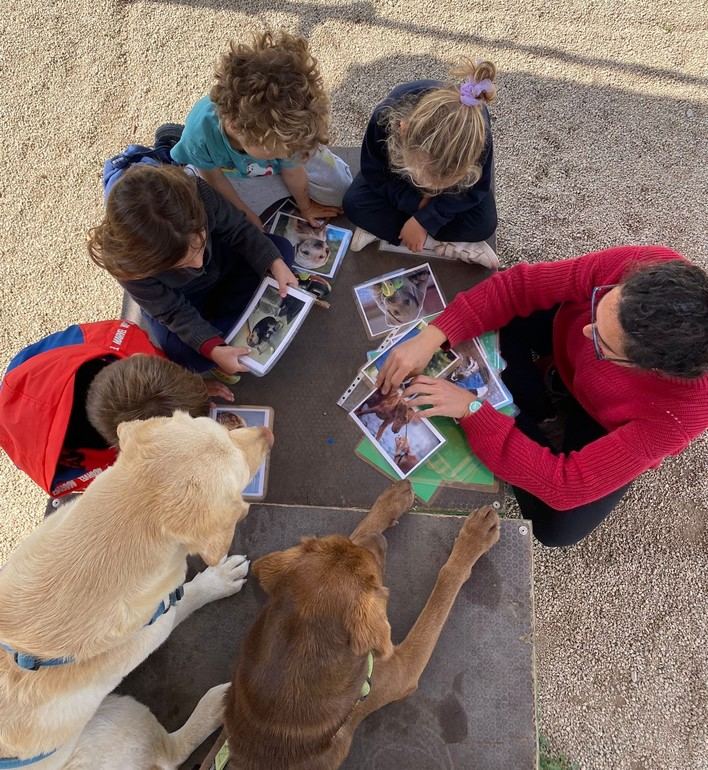 Actividad lúdico-educativa al aire libre en compañía de ponis y perros, dirigida a niños de 3 a 5 años