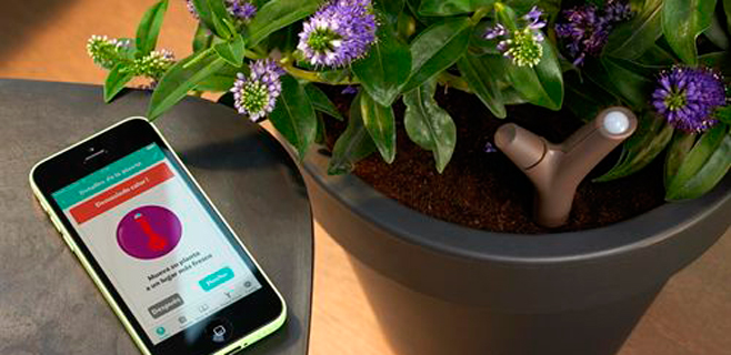 Llega una app que cuida tus plantas
