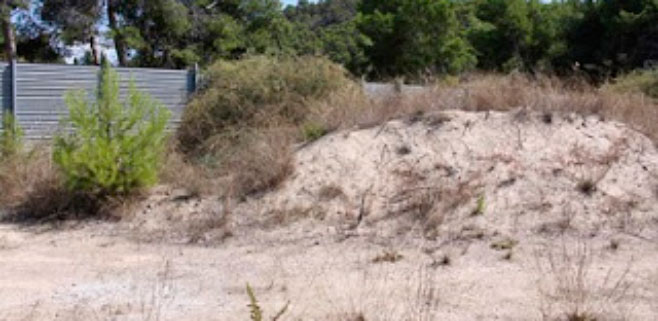 Paralizadas las obras en las dunas de Camp de Mar