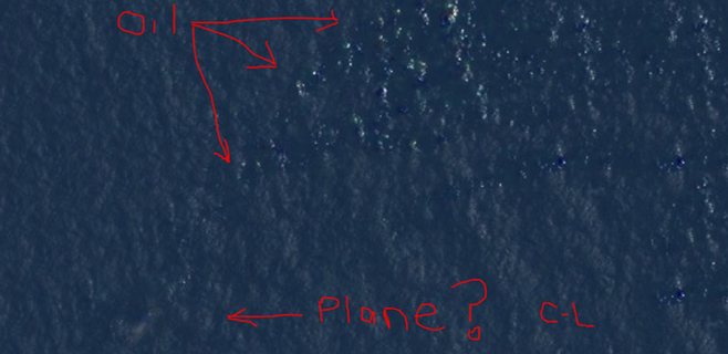 Courtney Love asegura haber encontrado el avión desaparecido
